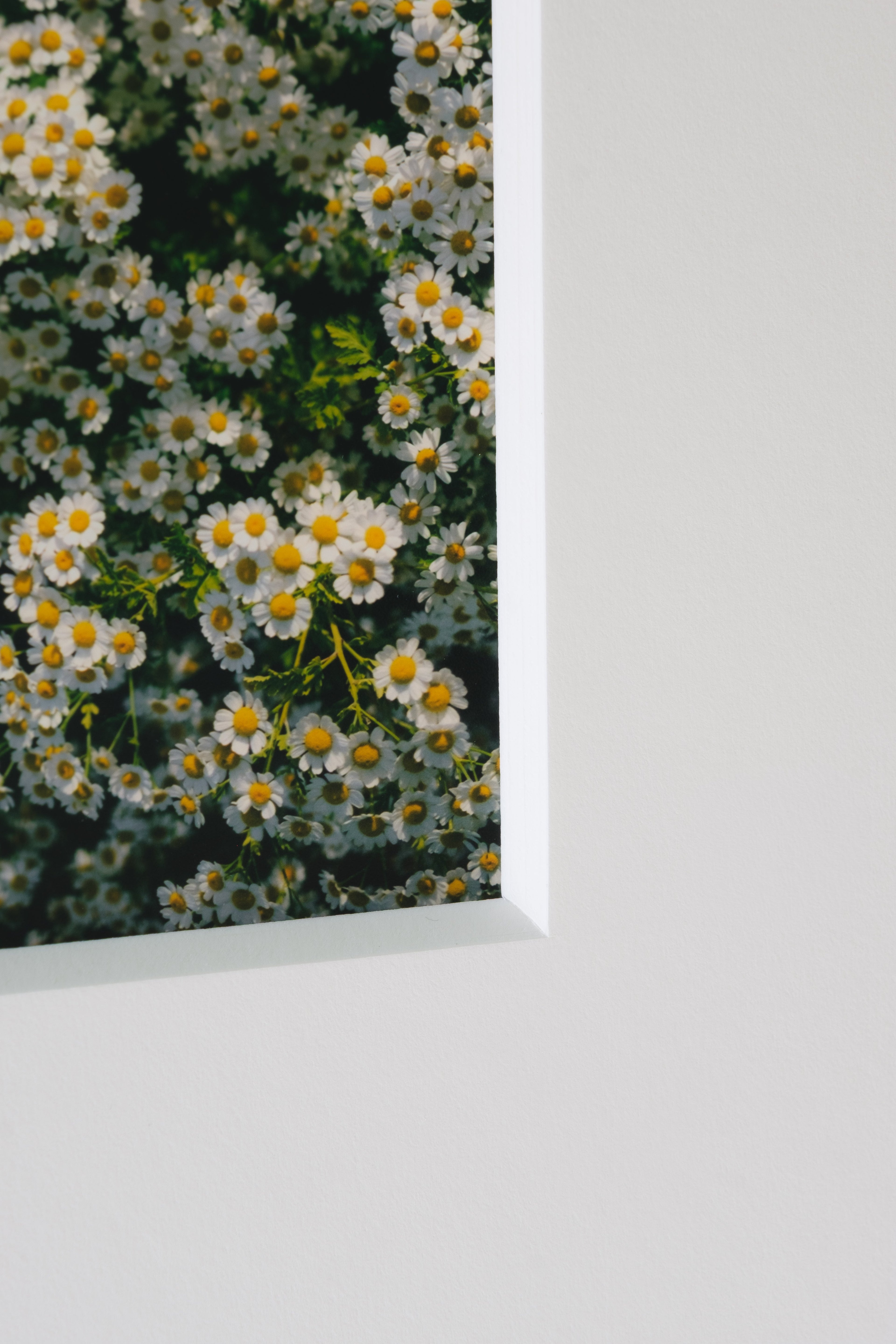 THE ART OF PRINTING: WHY QUALITY PAPER MATTERS MORE THAN YOU THINK